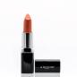 Preview: Hair-Beauty-Shop Daily Care Lipstick Blush